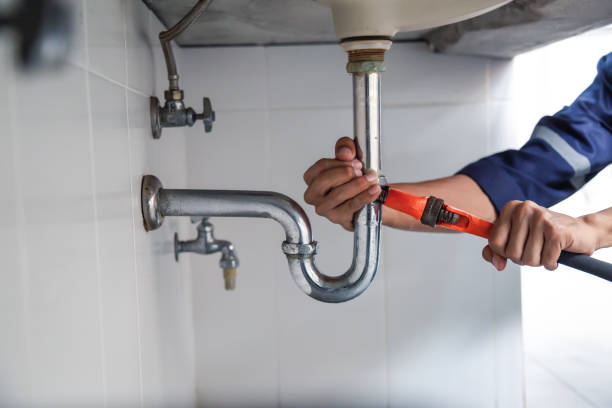 Best Commercial Plumbing Services  in Roosevelt Park, MI